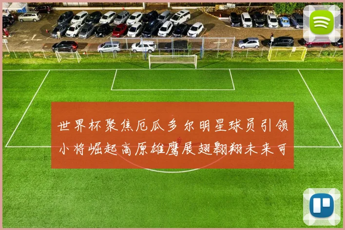 世界杯聚焦厄瓜多尔明星球员引领小将崛起高原雄鹰展翅翱翔未来可期